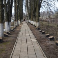 Московская область. Ашукино. Аллея памяти в честь бойцов Софринской бригады. :: Наташа *****
