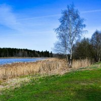 Весна в конце апреля. :: Милешкин Владимир Алексеевич 