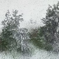 снежный апрель :: Владимир 