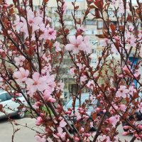 ,,, :: Сергей Тимоновский