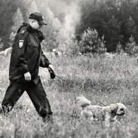 По слелу... :: СЮ 