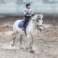 Девочка на лошади :: Михаил Измайлов