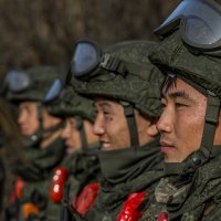 Союзники :: Евгений Кель