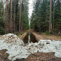 Зимы остатки. :: веселов михаил 