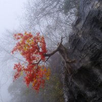 Удивительная краска в снежной горы :: Георгий А