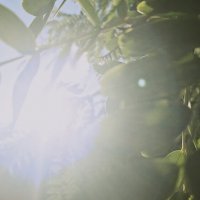 14  КЛОС (148) :: CLOSE WAYS ALL