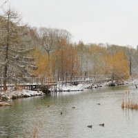 Возвращение зимы :: Евгений Седов