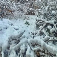 "Тепло уже не за горами! " :: veilins veilins