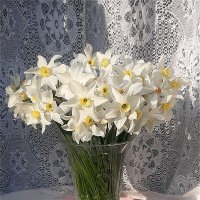 Весеннее вдохновение! :: Нина Андронова