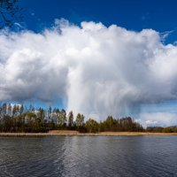 Небесный гриб :: Александр Мезенцев