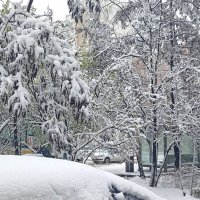 Апрельский снег :: Татьяна Тюменка