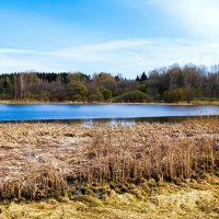 Весна в конце апреля. :: Милешкин Владимир Алексеевич 