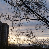 Утро 29.04.2026 :: Anna-Sabina Anna-Sabina