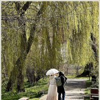 Прогулка по Ботаническому саду. :: Валерия Комова