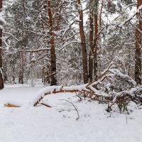 Пейзаж апреля после снегопада :: Александр Синдерёв