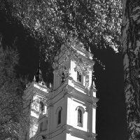 *** :: Николай 