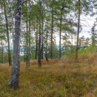 Начало Сентября на перевале (панорама). :: Алексей Трухин