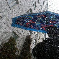 У природы  нет плохой погоды. :: Владимир Гришин