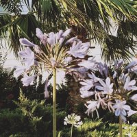 14  КЛОС (149) :: CLOSE WAYS ALL