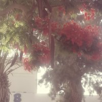 14  КЛОС (152) :: CLOSE WAYS ALL