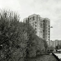 *** :: Наталья Герасимова