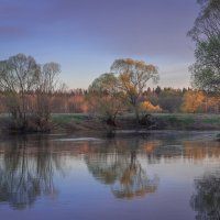 **** :: Елизавета .