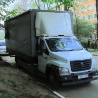 ГАЗон :: Сергей Уткин
