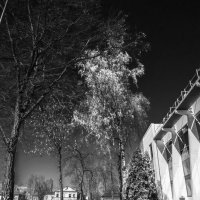 *** :: Николай 
