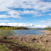 Весення зарисовка :: Александр Мезенцев