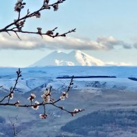 Эльбрус :: Михаил Свиденцов
