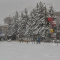 Красивая весна :: Виктор Иванович Чернюк