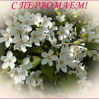 С ПЕРВОМАЕМ, ДРУЗЬЯ! :: Наталья ***