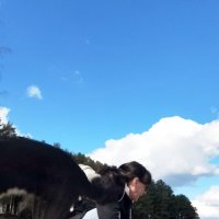 Снимала себя,а в кадр попала собака :: светлана льдокова