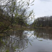 У тихой речки. :: Люба 