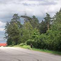 Улица Ulvarydsvägen :: Александр Ильчевский 