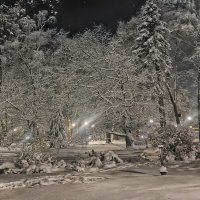 Ночной парк2 :: Василий Королёв