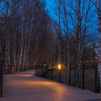Вечер в Весеннем Парке :: юрий поляков