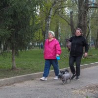 Прогулки в Весеннем Парке :: юрий поляков Прогулки в Весеннем Парке :: юрий поляков