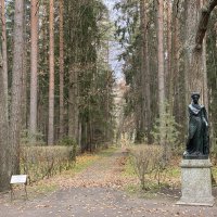 В Павловском парке. :: Татьяна 