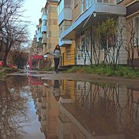 Дожди зарядили... :: Александр Шимохин