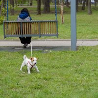 Хватит раскачиваться. :: Николай Хватит раскачиваться. :: Николай