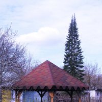 В саду :: Людмила Смородинская