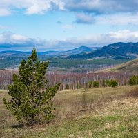Весна на южном Урале :: Петр 