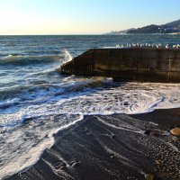 На морском берегу :: Мишель71