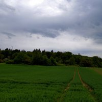 // :: Kodi 
