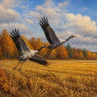 "Улетают" :: Денис Бочкарёв