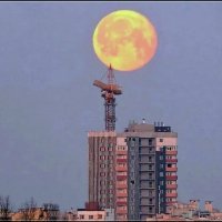 удачно :: Сеня Белгородский удачно :: Сеня Белгородский