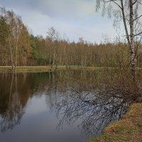 Весна. Парк Сосновка. :: Лилия *