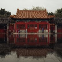 Дождливый день :: Лилия . Дождливый день :: Лилия .