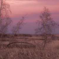 Неповторимый весенний вечер :: Сергей Герасимов